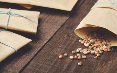 Revija Sensa: “Zakopljimo semena v zemljo”