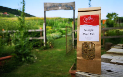 Novost med našimi izdelki – Korenjak Steak mix