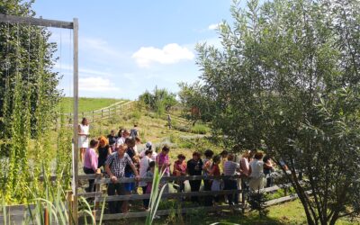 Dan odprtih vrat na Zeliščnem vrtu Majnika (druženje)