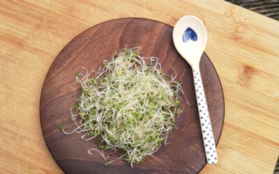 Od oktobra ponovno na voljo hrustljavi ekološki kalčki