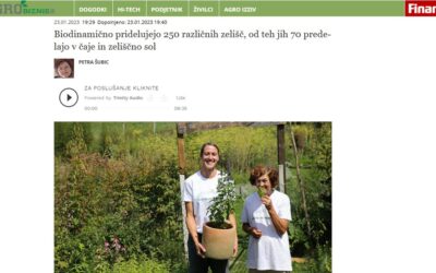 Finance.si – Agrobiznis: Zeliščni vrt Majnika s čaji prodira v kavarne in restavracije