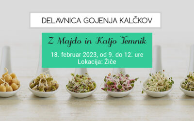 Delavnica gojenja kalčkov (18. 2. 2023)