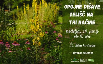 OPOJNE DIŠAVE ZELIŠČ NA TRI NAČINE