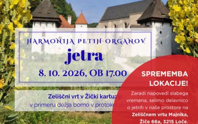 Harmonija petih organov – JETRA